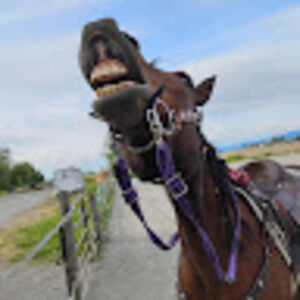 Meet your Posher, Thatoneoreo